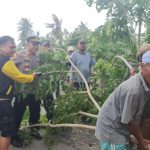 *Kapolsek pedes polres karawang gotong royong Bersama masyarakat kosambibatu Kecamatan cilebar*