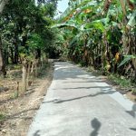 Tegakan Kebenaran Dan Keadilan