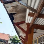 SDN Rengasdengklok Selatan 3 Sangat Butuh Rehabilitasi 4 Ruang Kelas ,Atap Bangunan Sudah Lapuk Dan Kropos