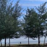 Indahnya Pantai Pulau Putri Dengan Ratusan Pohon Cemara Menjadi Tempat Wisata Yang Paling Indah