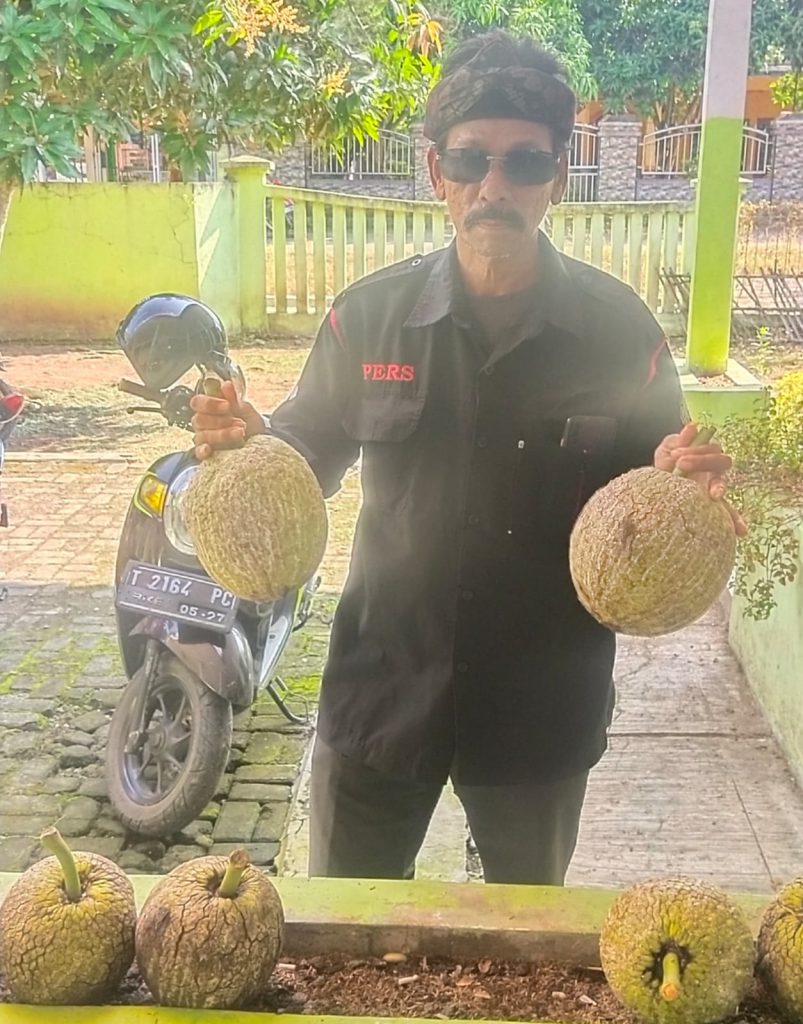Rahasia Dibalik Buah Sukun Untuk Kesehatan
