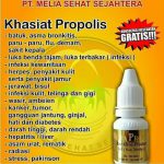 Kemampuan MELIA PROPOLIS 6ML adalah dapat melawan bakteri, jamur, dan virus yang menyebabkan penyakit pada manusia.