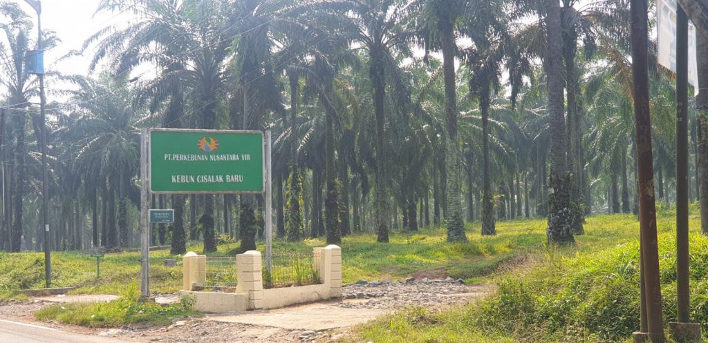 FPMI Angkat Bicara Terkait Lahan HGU PT PN VIII, Sekjen Pratamaji : Pemerintah Pusat Harus Segera Ambil Alih