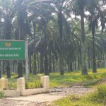 FPMI Angkat Bicara Terkait Lahan HGU PT PN VIII, Sekjen Pratamaji : Pemerintah Pusat Harus Segera Ambil Alih