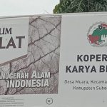 Karna faktor Alam Koperasi Karya Bhakti Desa Muara Mengalami Pengurangan Penghasilan