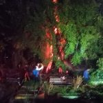 Akibat Puntung Rokok Pemakaman Warga Sukajadi Hampir Di Lalap Sijago Merah