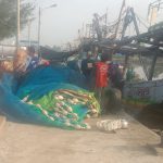 Para Nelayan Desa Muara Menjerit Butuh Kepedulian Dan Perhatian Pemerintah Karna Selama 3 Bulan Tidak Bisa Melaut