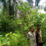 Sudah Mengundurkan diri Namun Lahan Di KUD Minanga Ogan Tak Kunjung Di Kembalikan Pada Pemilik nya.