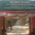 Wanawisata Penangkaran Buaya Blanakan Subang Sepi Dari Pengunjung