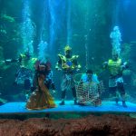 31 Tahun Sea World Ancol Keajaiban Dunia Laut