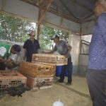 Program Ketahan Pangan Dari Anggaran DD Menjadi Isu Yang kurang baik