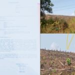 Oknum Pejabat Pemkab Gowa,diduga rampas tanah milik tanah masyarakat