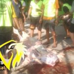 Masyarakat Perum Karaba Indah Rw 10 setelah mengadakan shalat Idul Adha di masjid Miftahuljannah Langsung Gelar Kurban 29 Ekor Domba Dan 9 Ekor Sapi