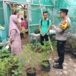 Kapolsek Blanakan Polres Subang , Iptu Andri Sugiarto S. Ip. M. A. P , bersama Anggota Binmas Briptu Wira , , dan PLT Sdr Gugun , melakukan pengecekan kegiatan ketahanan pangan di Desa Langensari