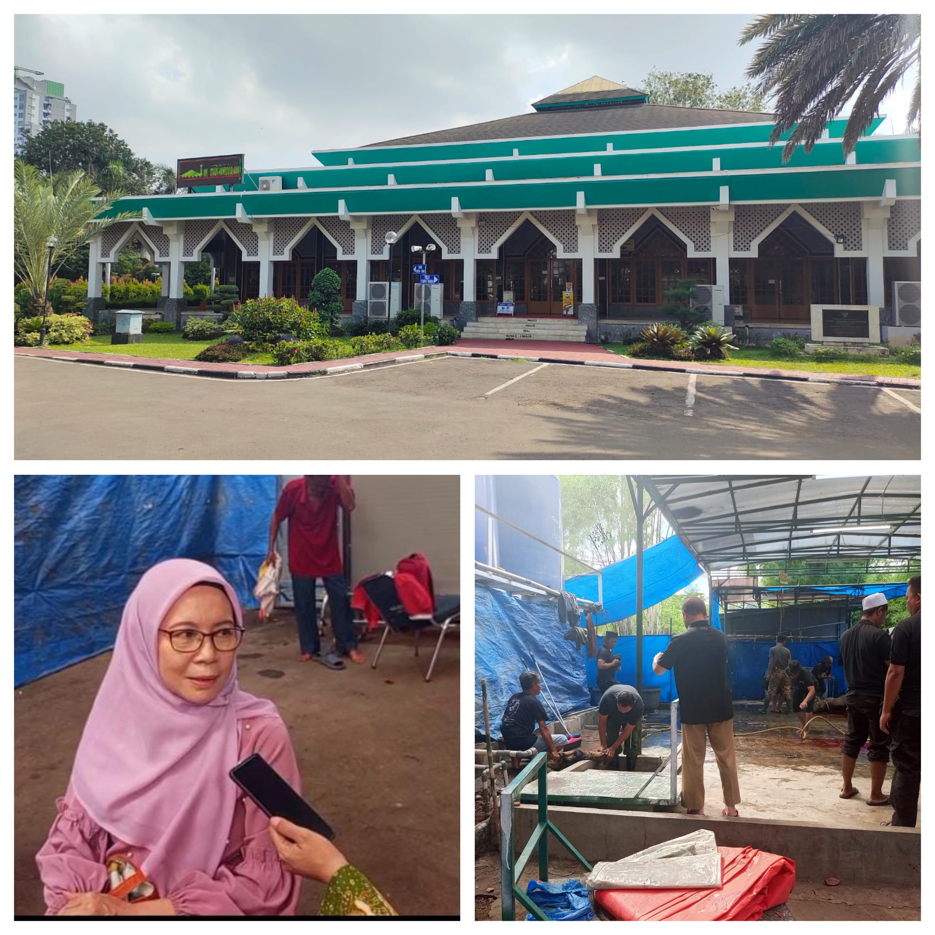Panitia Qurban Masjid Raya Al-musyawarah Th 2025 Menerima Hewan Qurban sebanyak 8 Ekor Sapi dan 38 Kambing