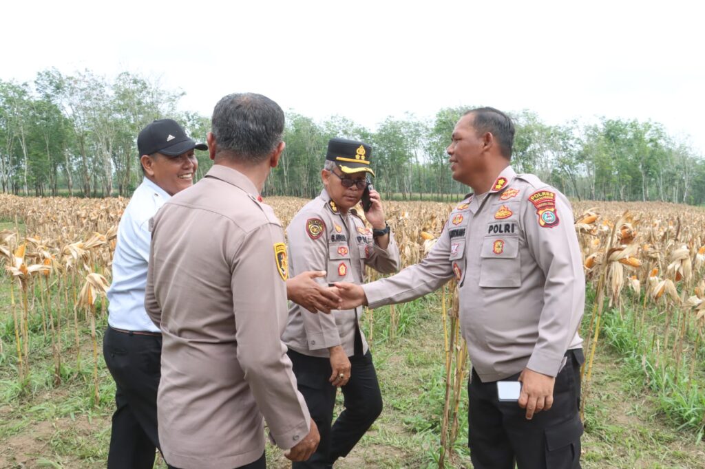 Kapolres Simalungun Lakukan Pengecekan Kesiapan Panen Raya Jagung Serentak Dukung Swasembada Pangan Nasional