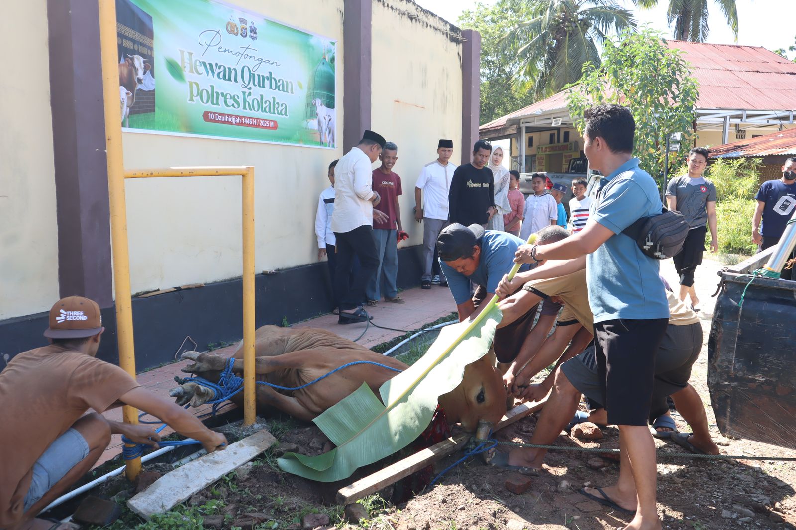 Polres Kolaka bersama Polsek Jajaran, melaksanakan kegiatan pemotongan dan pendistribusian hewan qurban di Moment Idul Adha 1446 H/ 2025 M