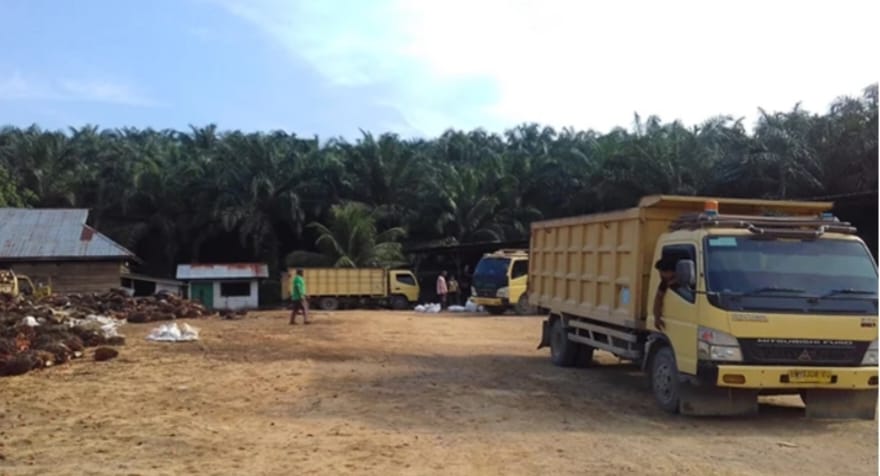 Satgas Inti Prabowo Kecam Perusahaan Perusak Hutan, Desak Negara Bertindak Tegas