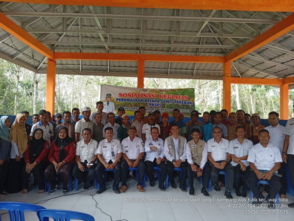 Perkuat Ekonomi Petani, Dinas Perkebunan Waykanan Sosialisasikan Peremajaan Kelapa Sawit di Waytuba