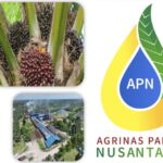 Jacob Ereste: Peran PT. Agrinas Palma Nusantara Harus Transparan Agar Swasembada Pangan & Energi Bisa Tercapai dan Dinikmati Rakyat