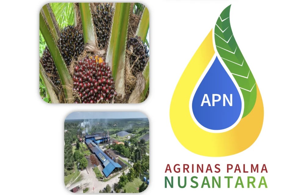 Jacob Ereste: Peran PT. Agrinas Palma Nusantara Harus Transparan Agar Swasembada Pangan & Energi Bisa Tercapai dan Dinikmati Rakyat