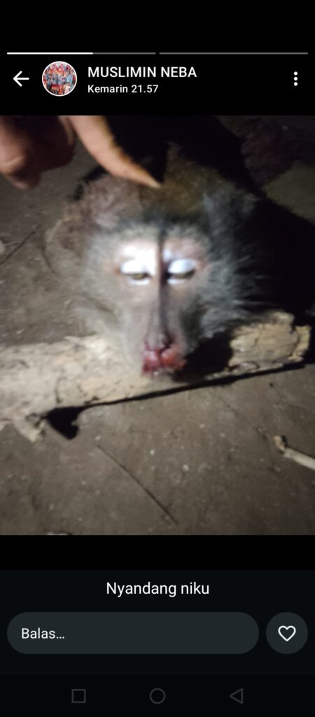 Keresahan warga di kampung NEGARA BATIN WAYKANAN Lampung