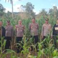 Tim STIK Lemdiklat Polri Melaksanakan Penelitian Big Data Produksi dan Distribusi Pangan di Polres Kolaka.