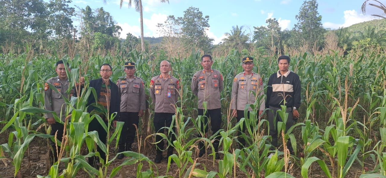 Tim STIK Lemdiklat Polri Melaksanakan Penelitian Big Data Produksi dan Distribusi Pangan di Polres Kolaka.