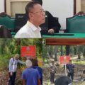 Vonis 10 Tahun untuk Raja Perambah Hutan, Tapi Kebun Sawit Ilegal di Langkat Masih Dipanen Terus