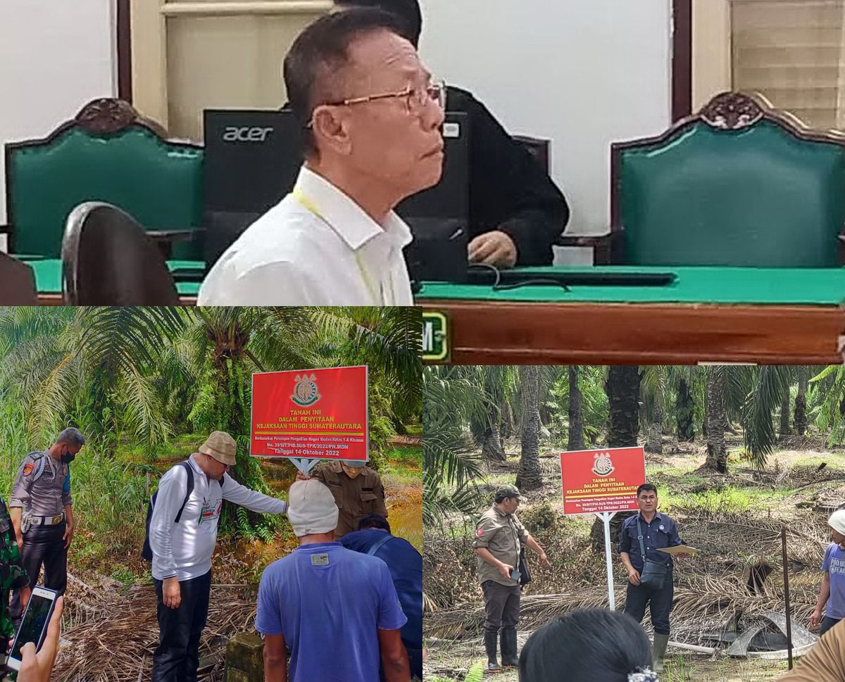 Vonis 10 Tahun untuk Raja Perambah Hutan, Tapi Kebun Sawit Ilegal di Langkat Masih Dipanen Terus
