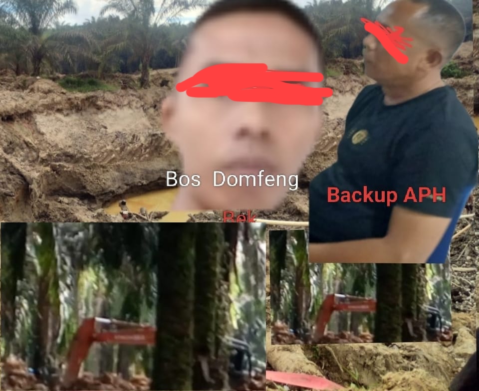 Dosa Tambang Emas Ilegal Mandailing Natal: Backing Oknum Polisi dan Rentetan Korban Jiwa yang Terabaikan