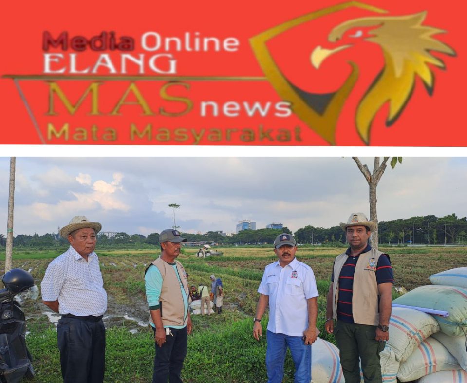 Tani Merdeka Indonesia Deli Serdang Ubah Lahan Kosong Jadi Lumbung Pangan Produktif
