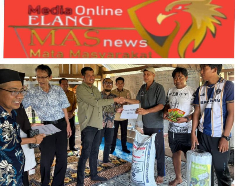 Pengembangan Budidaya Cabe Rawit untuk Pengendalian Inflasi di Pinrang