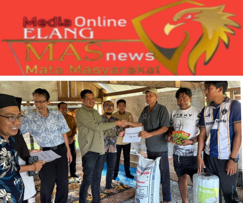 Pengembangan Budidaya Cabe Rawit, Langkah Konkret Pengendalian Inflasi di Pinrang