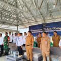 Penanaman Pohon Kelapa di Waykanan, Dorong Ketahanan Pangan Nasional