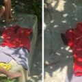 Anak Diduga Tenggelam di Sungai Ogan, Tim Gabungan Lakukan Pencarian