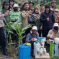 Penyemprotan Insektisida Lahan Jagung di Desa Suka Pindah, Dukung Gerakan Nasional Ketahanan Pangan 2025