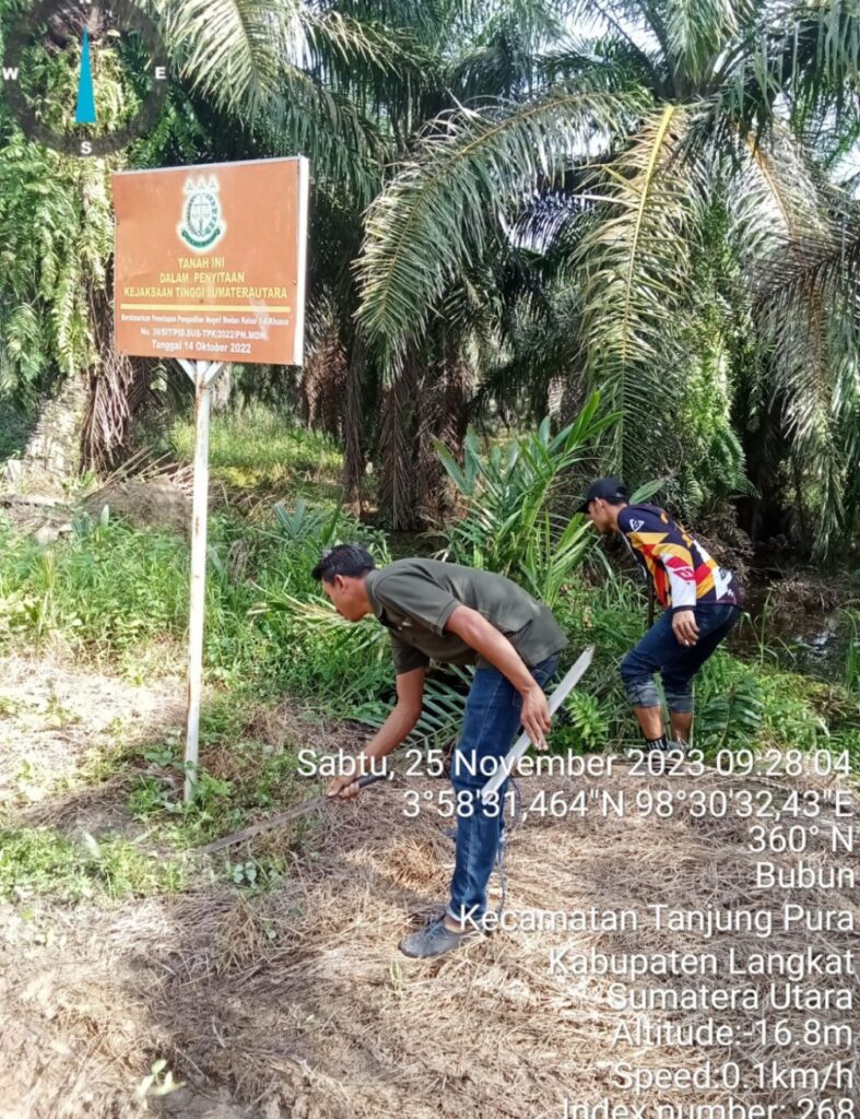 Kejati Sumut Telah Menyita 210 Ha Milik Akuang, Tapi Masih Bebas Panen, Ada Apa dengan BBKSDA Sumut?