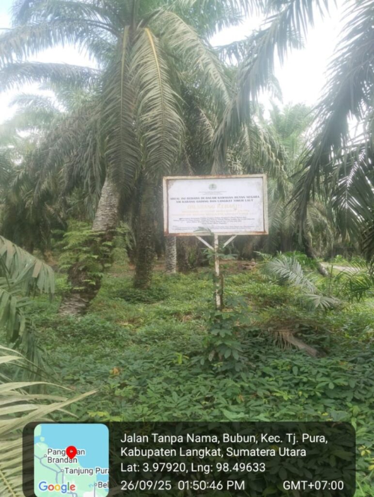 Ketua DPW LSM ELANG MAS Sumut Desak Akuang Hentikan Panen Sawit di Lahan Sitaan Kejati