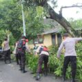 Angin Puting Beliung Terjang Tuban, Puluhan Rumah Warga Rusak