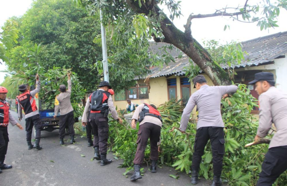 Angin Puting Beliung Terjang Tuban, Puluhan Rumah Warga Rusak
