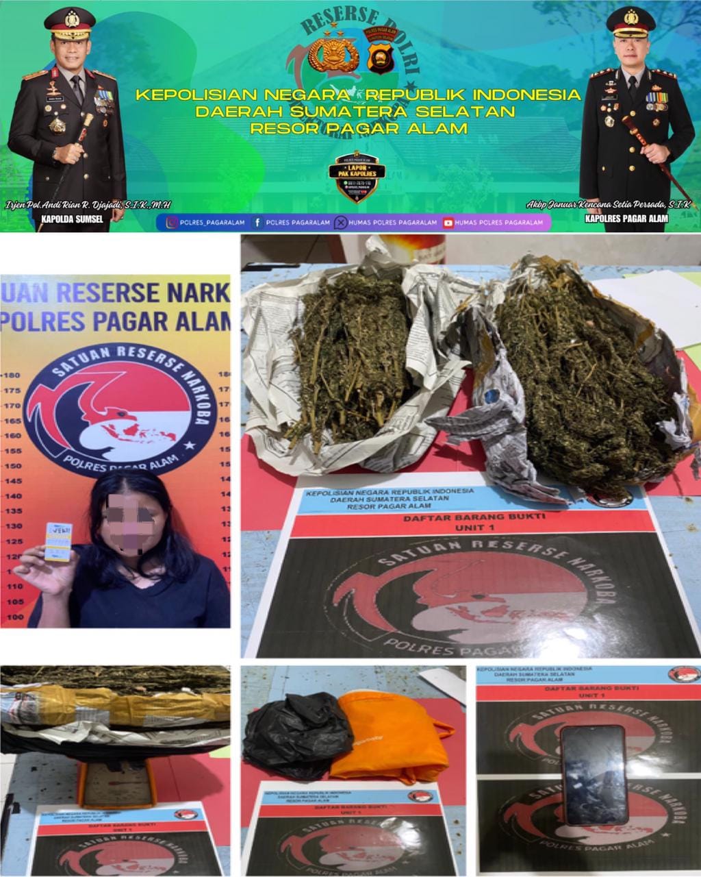 Satresnarkoba Polres Pagaralam Ringkus Pengedar Ganja di Sidorejo, Sita Barang Bukti 500 Gram