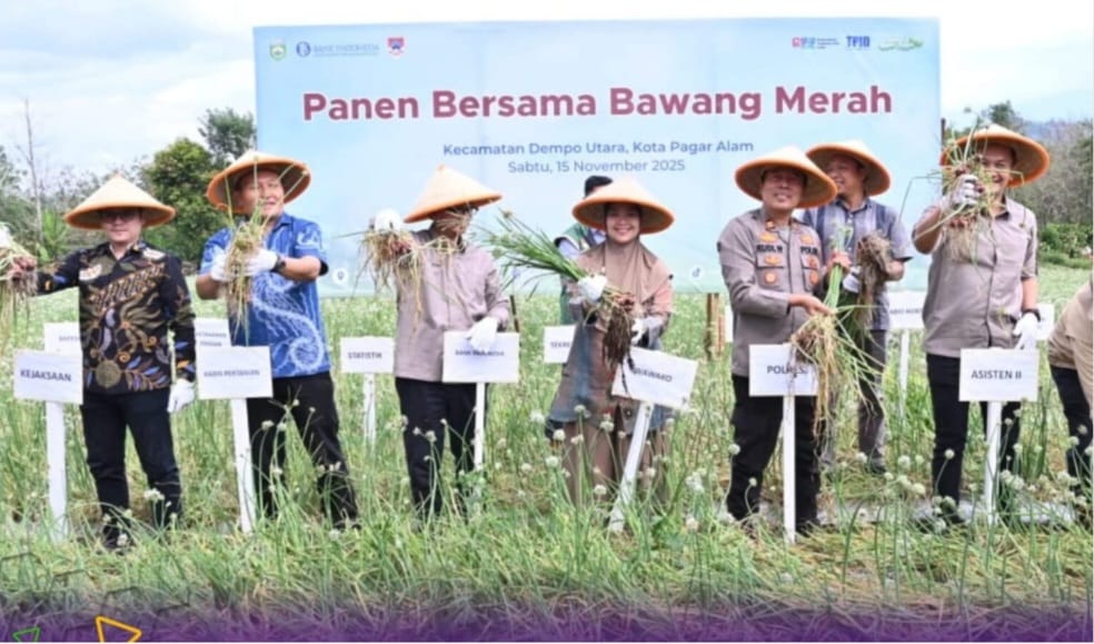 PANEN RAYA BAWANG MERAH BERSAMA PEMKOT YANG DI HADIRI OLEH KAPOLSEK DEMPO UTARA DAN WARGA.