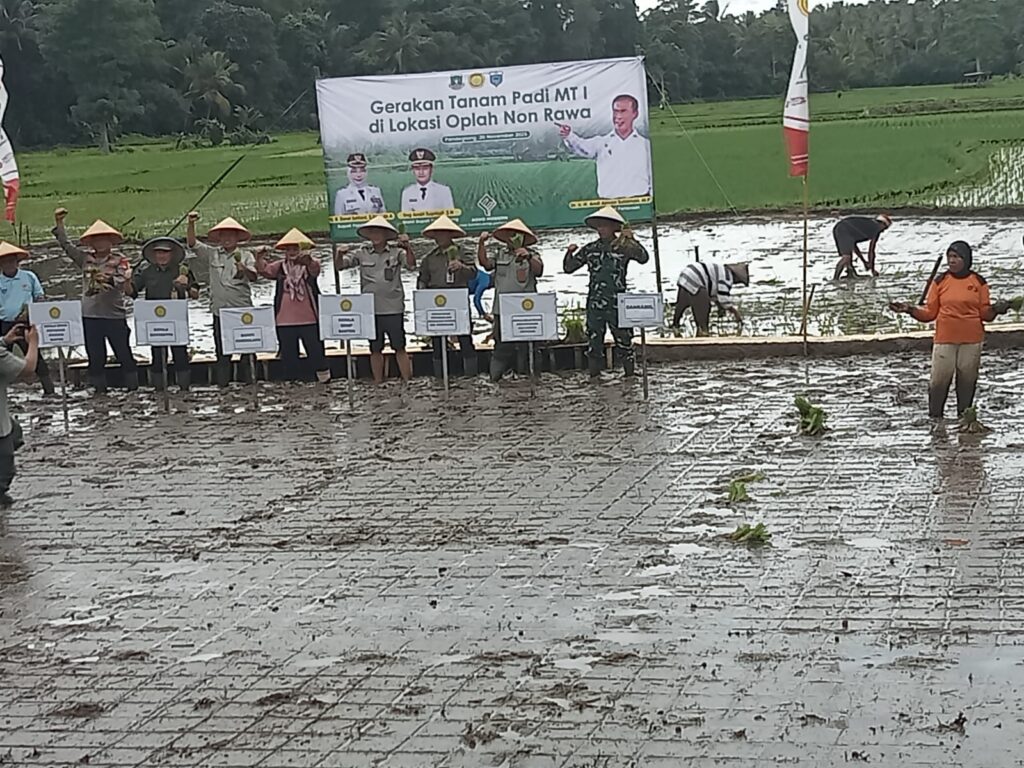 Kegiatan Gerakan Tani Padi MT I di Desa Kadubelang