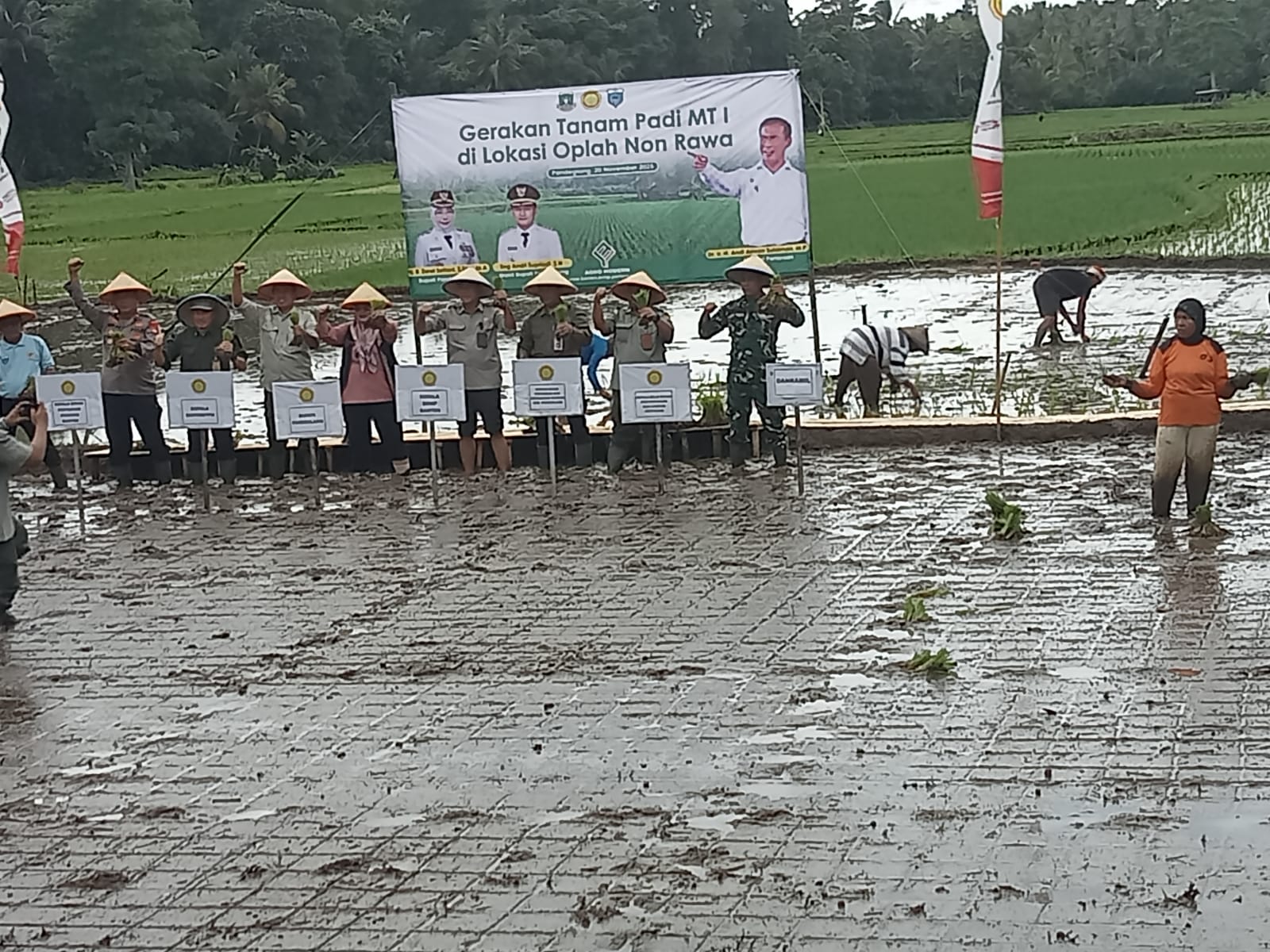 Kegiatan Gerakan Tani Padi MT I di Desa Kadubelang
