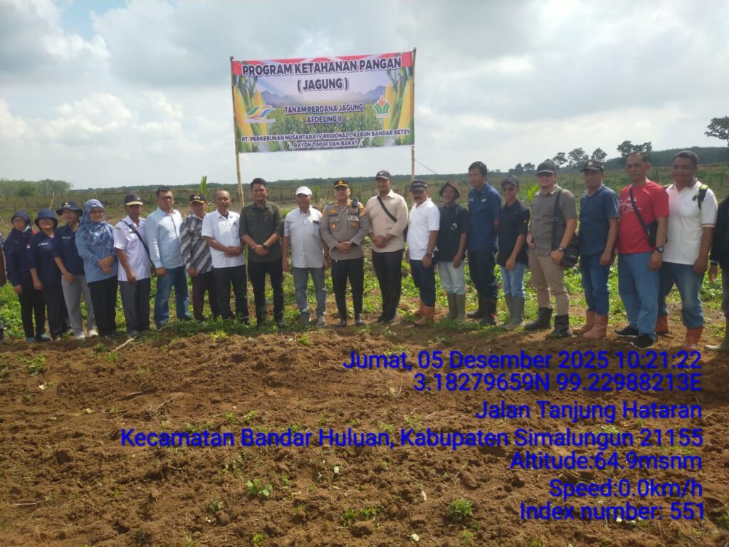 Respon Cepat dan Dekat dengan Masyarakat, Kapolsek Perdagangan Hadiri Penanaman Perdana Jagung di Lahan 72,5 H PTPN IV Bandar Betsy