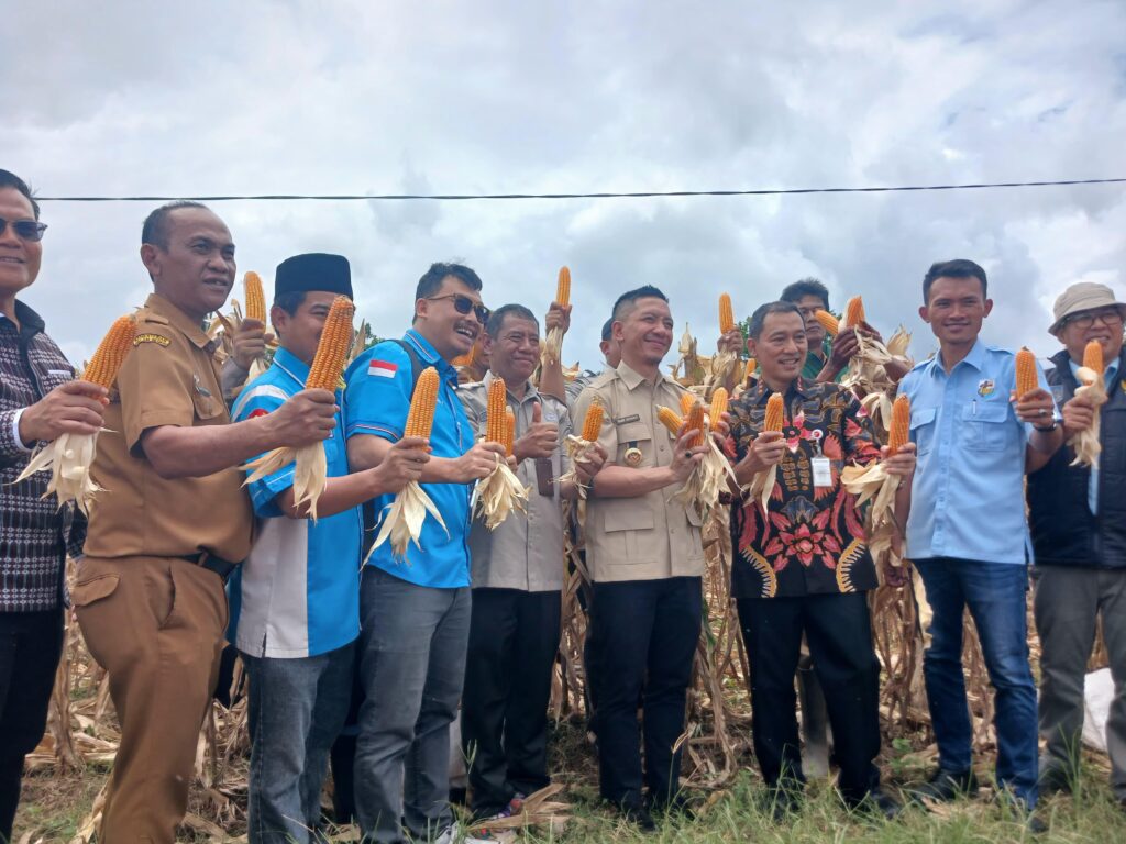 KNPI Banten Dorong Pemuda Lebak Jadi Garda Terdepan Ketahanan Pangan Lokal