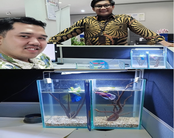 BRI Kanca Tangerang Merdeka: Karyawan dengan Hobi Ikan Hias, Cermin Kreativitas dan Dedikasi