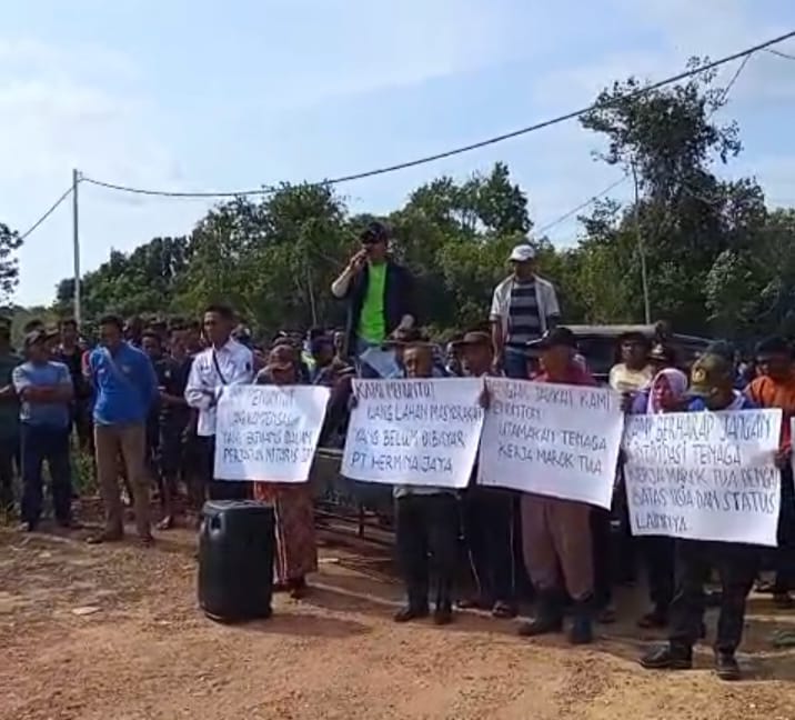 Prof Dr KH Sultan Nasomal Harap Pemerintah Pusat dan Daerah Turun Tangan Tangani Kisruh Warga Marok Tua Vs PT Hermina Jaya