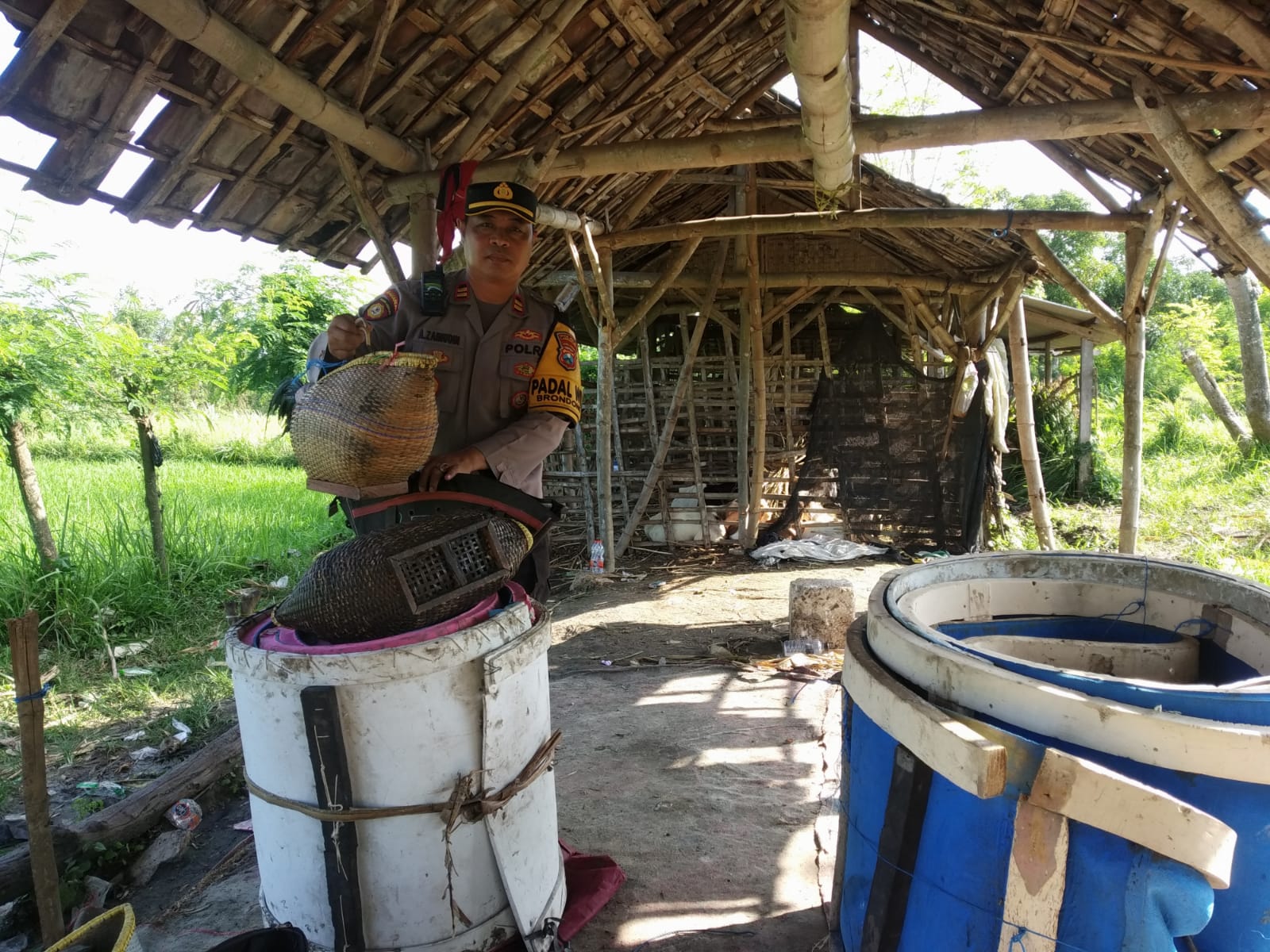 Polsek Brondong Gerebek Sabung Ayam di Sawah Sumberagung, Pelaku Kabur Tinggalkan Ayam dan Motor